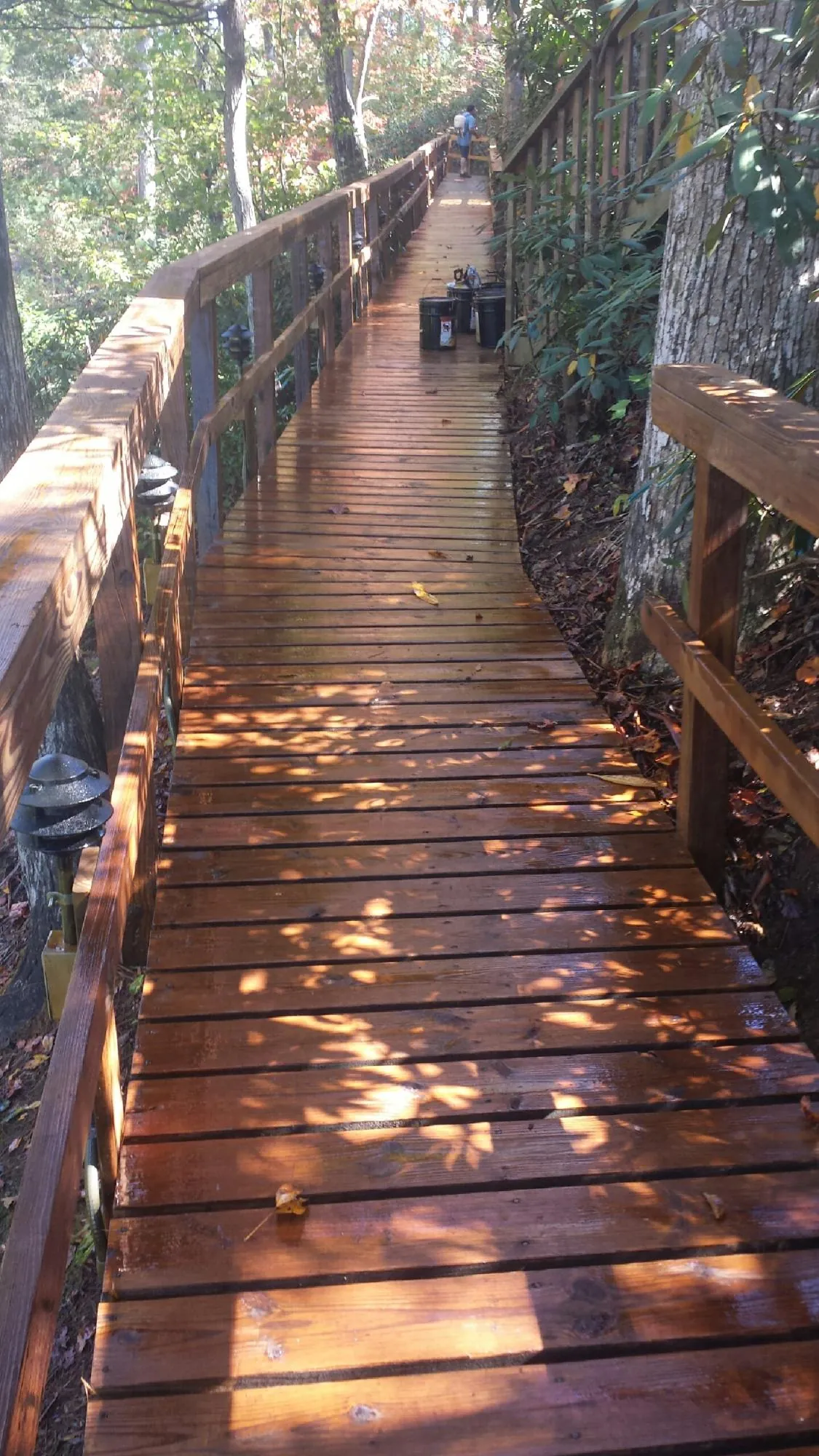 Freshly stained wood walkway winding through the woods in Winslow